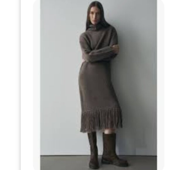 Women's Zara 100% Wool Turtle Neck Fringe Grey Taupe Midi Knit Dress Size XS-S - Picture 1 of 10